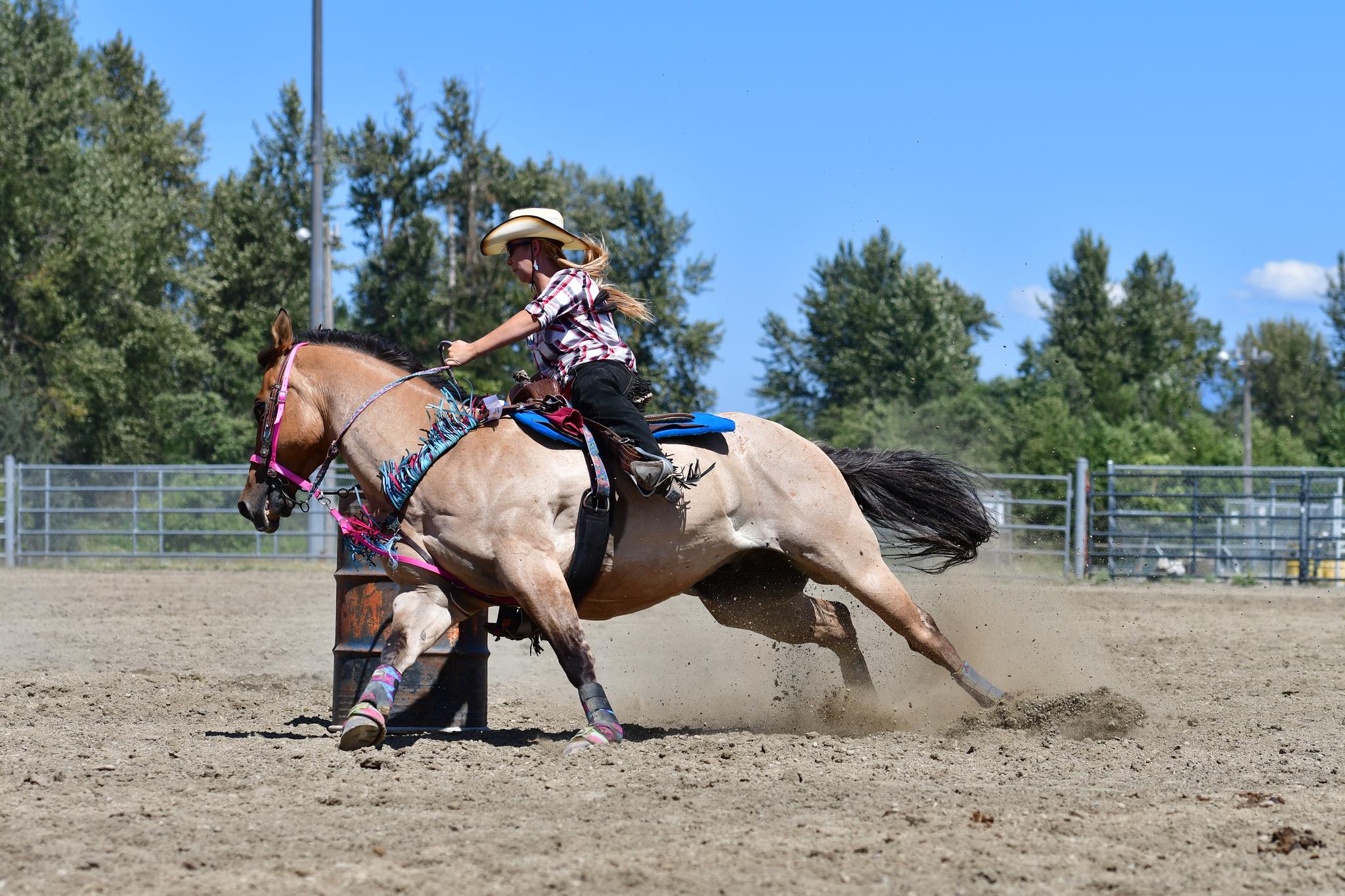 The Unbreakable Bond: A Dance Between Horse and Rider